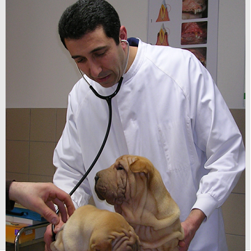 photo veterinaire eric david.png